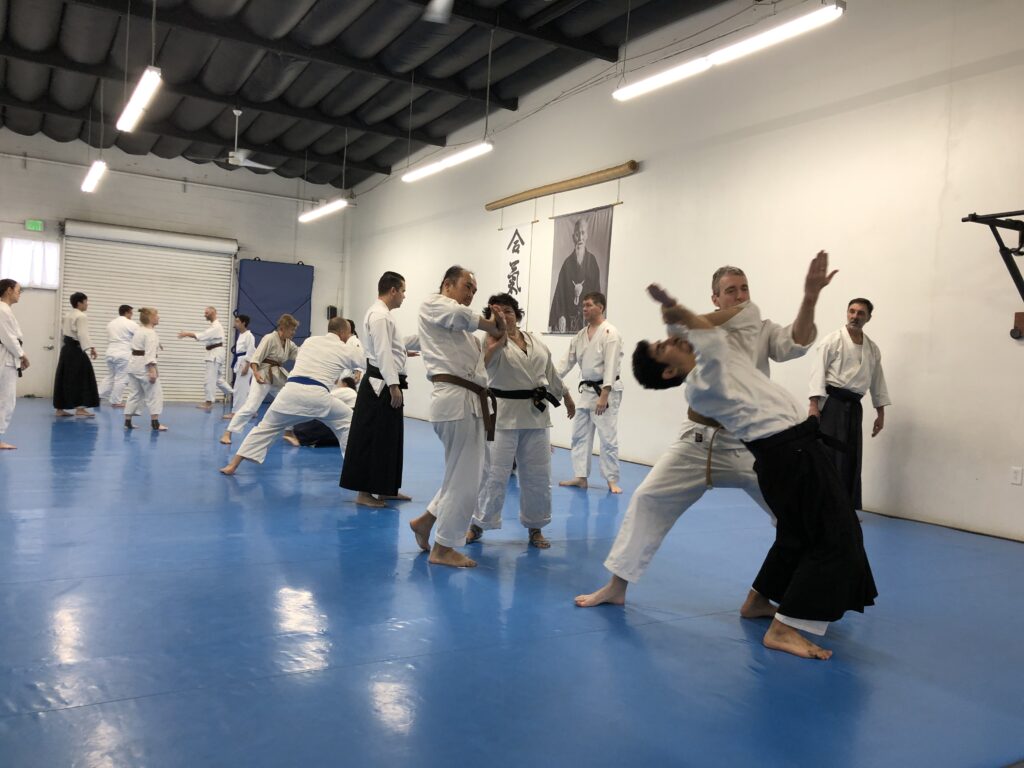 A typical pre-Covid Aikido class